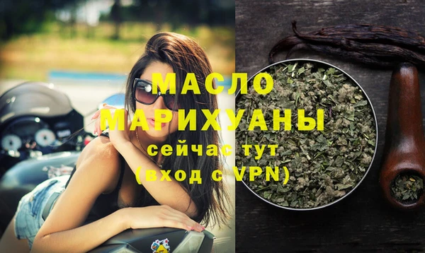 СК Новодвинск