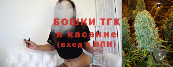 прущий лед Арсеньев